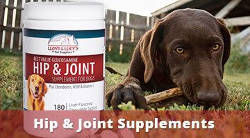 Lloyd and Lucy's Pet Supplies