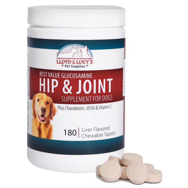 Lloyd and Lucy's Pet Supplies' joint care supplement for dogs can increase your dog's activity.